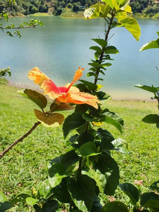 Villa Maravilhoso Sitio Na Beira Da Represa Igaratá Exterior foto